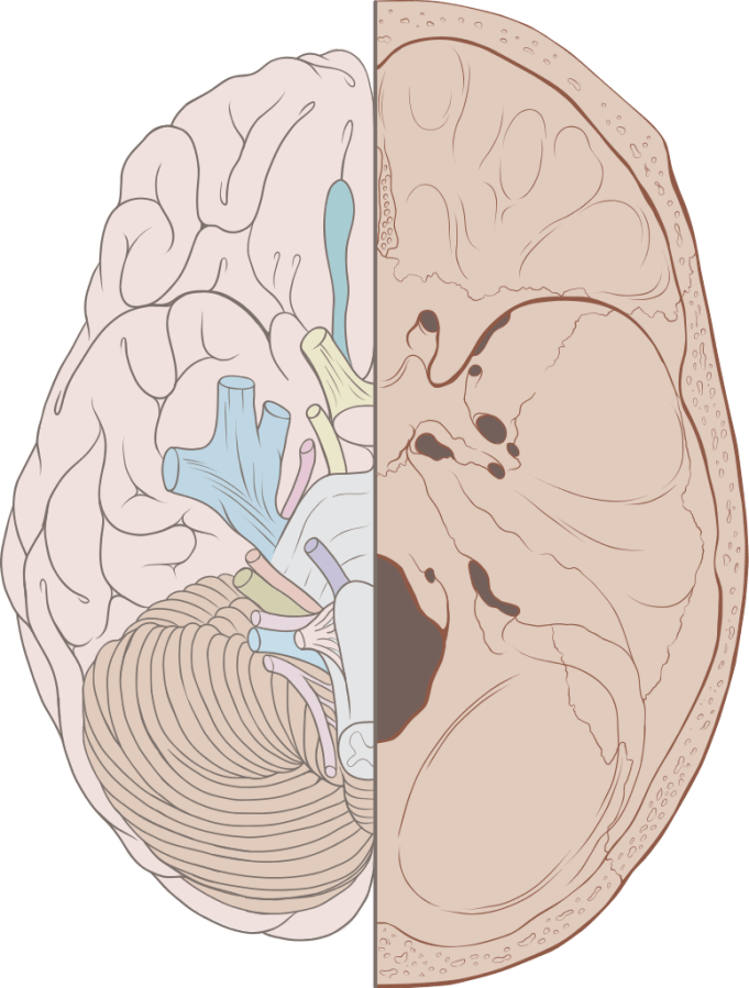 Sensory Evaluation and Knowledge of&nbsp;Self